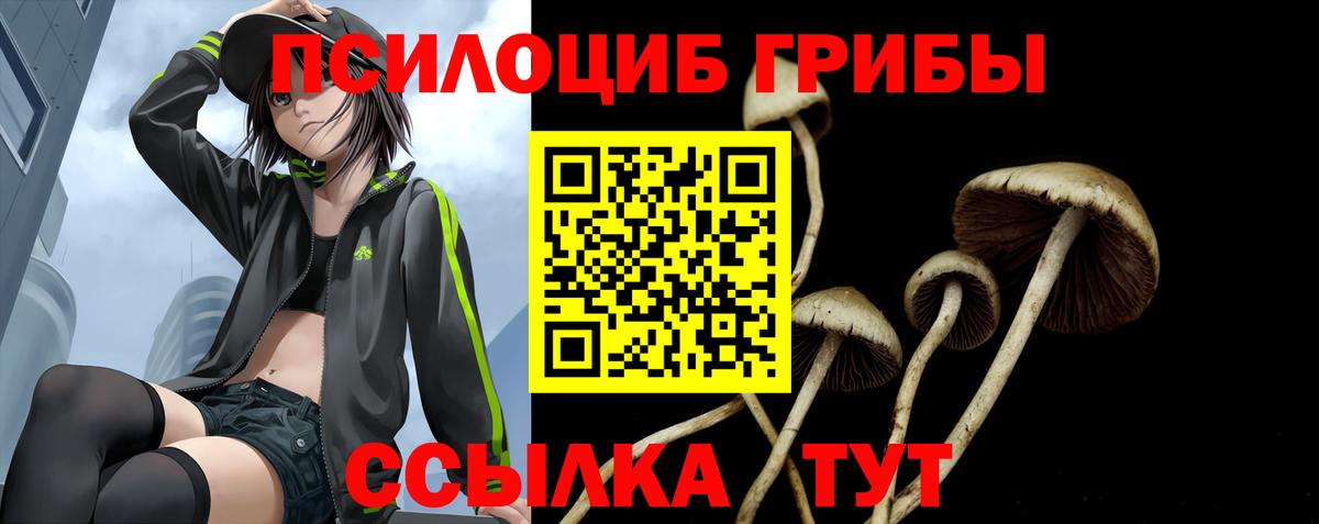 Галлюциногенные грибы MAGIC MUSHROOMS  Псилоцибиновые грибы Magic Shrooms  Вход с VPN  Семёнов 